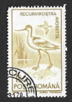 Stamps Romania -  3641 - Avoceta Común