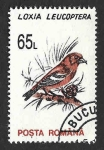 Stamps Romania -  3818 - Piquituerto Aliblanco