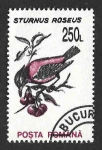 Stamps Romania -  3821 - Estornino Rosado
