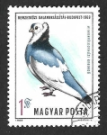 Stamps Hungary -  2016 - Paloma de Kiskunfélegyhaza