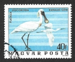Stamps Hungary -  2457 - Espátula Común