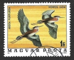 Stamps Hungary -  2459 - Garza Imperial