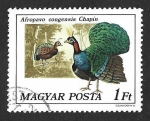 Stamps Hungary -  2473 - Pavo Real del Congo