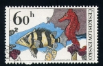 Stamps Czechoslovakia -  Peces de arrecife