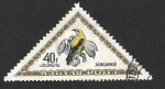 Stamps Hungary -  C98 - Oropéndola Europea