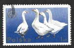 Stamps Poland -  2098 - Barnacia Canadiense