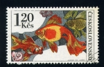 Stamps Czechoslovakia -  Peces de arrecife