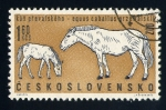 Stamps Czechoslovakia -  Animales del zoo de Praga