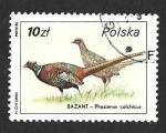 Stamps Poland -  2722 - Faisán Común