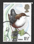 Stamps United Kingdom -  885 - Mirlo Acuático Europeo