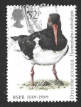 Stamps United Kingdom -  1241 - Ostrero Euroasiático