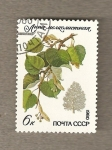 Stamps Russia -  Arbol siberiano