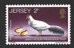Stamps United Kingdom -  49 - Faisán Orejudo Blanco? (JERSEY)