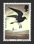 Stamps United Kingdom -  130 - Paíño Europeo (JERSEY)