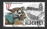 Stamps United Kingdom -  14 - Vuelvepiedras (ALDERNEY)