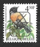 Stamps Belgium -  YtPR499 - Tarabilla Común