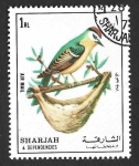 Stamps United Arab Emirates -  Mi1308 - Ave (SHARJAH)