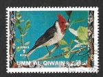 Stamps United Arab Emirates -  Mi1244A - Cardenilla Crestada (UMM AL-QAYWAYN) 
