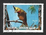 Stamps United Arab Emirates -  Mi1245A - Cardenal Amarillo (UMM AL-QAYWAYN) 