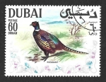 Stamps United Arab Emirates -  Yt100AA - Faisán Común (DUBAI)