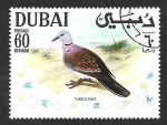 Sellos de Asia - Emiratos rabes Unidos -  Yt100AB - Tórtola Cabecigris (DUBAI)