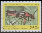 Sellos de Africa - Guinea -  Insectos - Cantharis fusca)