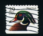 Stamps America - United States -  Pato