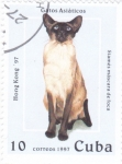 Stamps Cuba -  GATOS ASIATICOS
