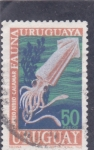 Stamps Uruguay -  calamar