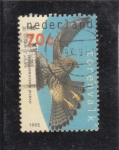 Stamps Netherlands -  AVE- cernícalo común