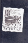 Stamps Sweden -  escarabajo