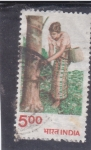 Stamps India -  mujer recogiendo caucho