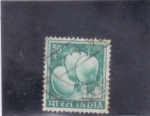 Stamps India -  mangos