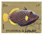 Sellos del Mundo : Asia : Emiratos_rabes_Unidos : pez exotico