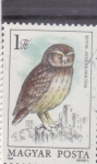Stamps Hungary -  Mochuelo (Athene nocturna)