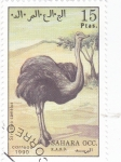 Stamps Morocco -  Avestruz