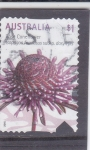 Stamps Australia -  FLOR-Equinácea rosada