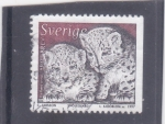 Sellos de Europa - Suecia -  Cachorros de leopardo de las nieves