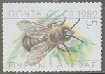 Stamps Russia -  Insectos