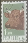 Stamps Romania -  Animales - Bos primigenius taurus