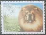 Stamps Afghanistan -  Animales - Canis lupus familiaris