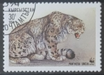 Stamps Kyrgyzstan -  Animales - Panthera uncia