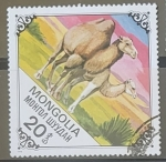 Sellos de Asia - Mongolia -  Animales - Camelus bactrianus