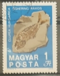 Stamps : Europe : Hungary :  Fossilized Fish (Clupea hungarica) from Rákos