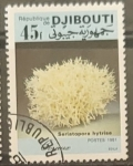 Stamps Africa - Djibouti -  Coral (Seriatopora hytrise)