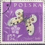 Stamps : Europe : Poland :  Mariposas - Parnassius apollo
