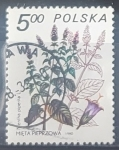 Sellos de Europa - Polonia -  Flores - Mentha piperita