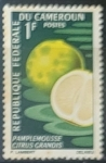 Stamps Cameroon -  frutas - Pomelo