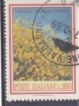 Stamps Italy -  PINTURA- flores ginesta