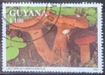 Stamps Guyana -  Setas - Lactarius Camphoratus
